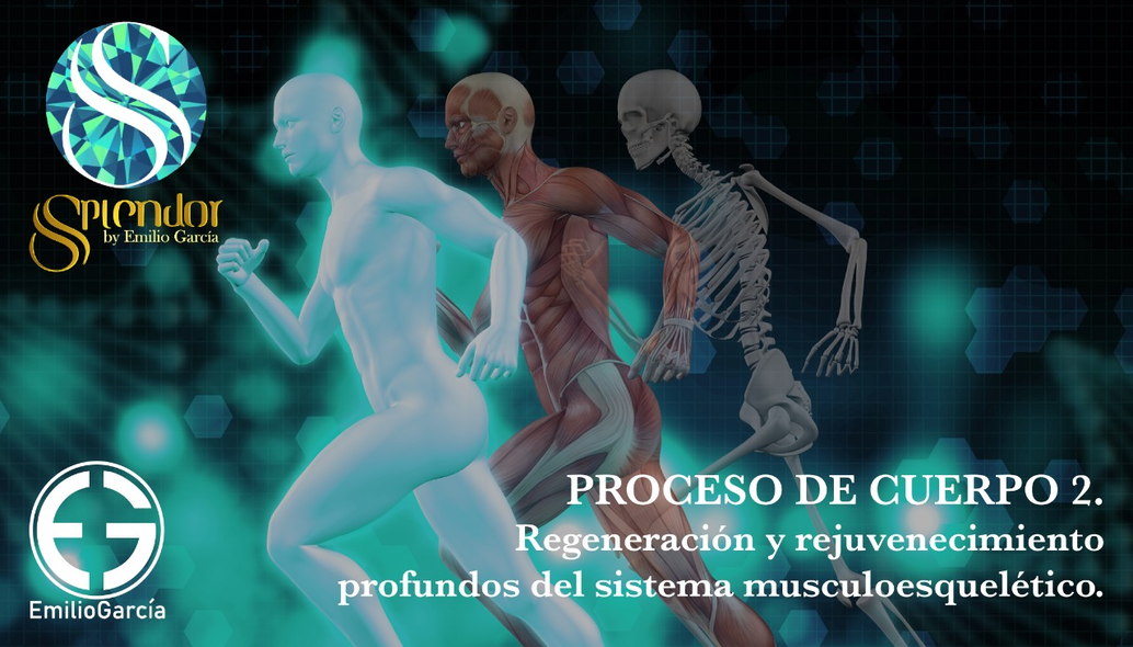 Proceso 2: Regeneración y Rejuvenecimiento profundos del sistema musculoesquelético